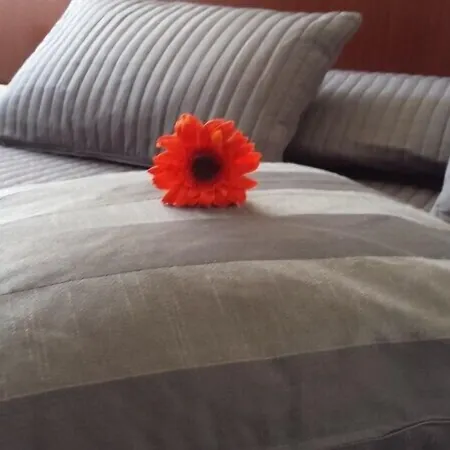 Bed & Breakfast Galleria And